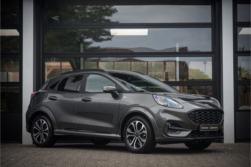 56387651